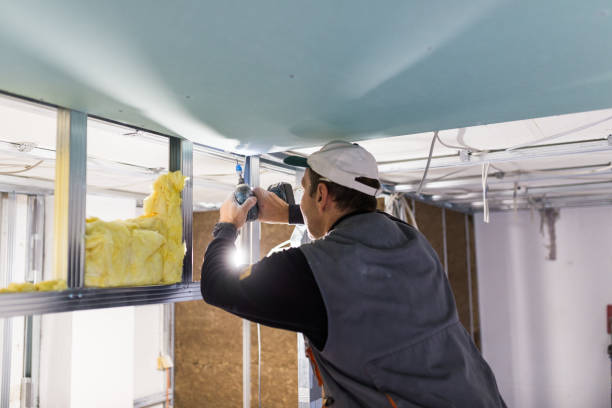 Best Commercial Insulation Contractor  in Van Vleck, TX