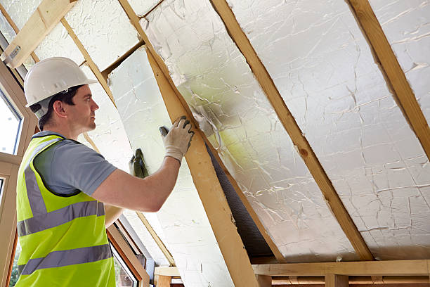 Best Insulation for New Construction  in Van Vleck, TX