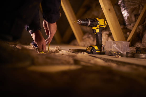 Best Home Insulation Services  in Van Vleck, TX